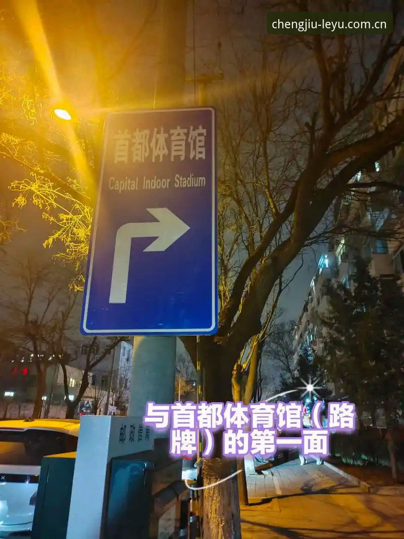 乐鱼体育平台最新动态：从“刷数据”到“读数据”，2025纪念版如何改变你的观赛决策